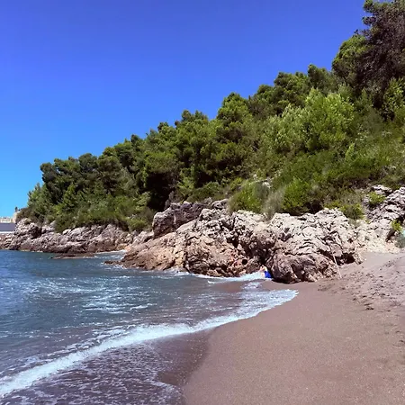 Rana Hedhun * Shëngjin