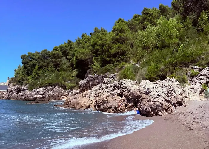 Rana Hedhun * Shëngjin